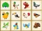 Gra Birds Board Puzzles w Internecie