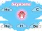 Gra SkyAtoms w Internecie