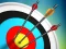 Gra Master Archery Shooting w Internecie