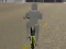 Gra Bicycle Simulator w Internecie