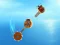Gra Crazy Machines w Internecie