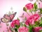 Gra Butterflies Puzzle w Internecie