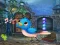 Gra Singing Bird Escape w Internecie