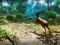Gra  Hunter 3D w Internecie