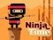 Gra Ninja Time w Internecie