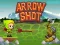 Gra Arrow Shoot w Internecie