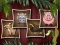Gra Animal Shapes 3 w Internecie