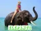 Gra Elephants Puzzle w Internecie