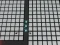 Gra Stug Balls w Internecie