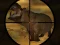Gra Classical Hippo Hunting w Internecie