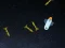 Gra 5 Minutes in Space w Internecie