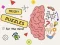 Gra Brain Puzzles Quests w Internecie