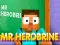 Gra Mr Herobrine w Internecie