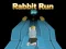 Gra Rabbit Run 3D w Internecie