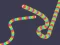 Gra Slither Classic w Internecie