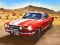 Gra Sung Race w Internecie