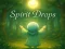 Gra Spirit Drops w Internecie