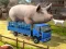 Gra Driver Master Simulator w Internecie