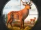 Gra Wild Animal Hunting w Internecie
