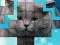 Gra PicPu Cat w Internecie