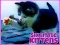 Gra Six Little Kittens w Internecie
