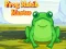 Gra Frog Match Master w Internecie
