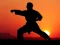 Gra Karate Sunset Warriors w Internecie