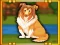 Gra Bernese Mountain Dog Escape w Internecie