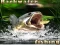 Gra Backwater Fishing w Internecie