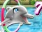 Gra My Dolphin Show 7 w Internecie