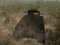 Gra Tank Battle w Internecie
