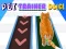 Gra Pet Trainer Duel w Internecie