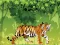 Gra Angry Tiger Coloring w Internecie