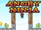 Gra Angry Ninja w Internecie