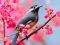 Gra Lovable Birds w Internecie