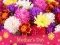 Gra 2019 Mother's Day Puzzle w Internecie