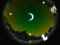 Gra Alpaca Run w Internecie