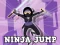 Gra Ninja Jump w Internecie