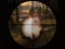 Gra Classical Rabbit Sniper Hunting 2019 w Internecie