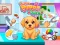 Gra Cute Puppy Care w Internecie