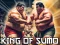 Gra King Of Sumo the ultimate brawl w Internecie