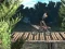 Gra Bike Trial Xtreme Forest w Internecie