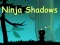 Gra Ninja Shadows w Internecie