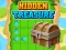 Gra Hidden Treasure w Internecie