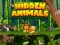Gra Hidden Animals w Internecie