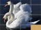 Gra Animals Slide Puzzle w Internecie