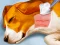 Gra Dog Hospital w Internecie