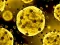 Gra Coronavirus Slide w Internecie