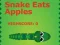Gra Snake Eats Apples w Internecie