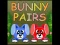 Gra Bunny Pairs w Internecie